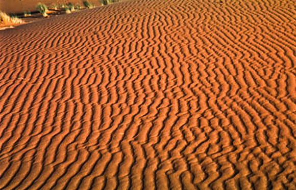 3215_SL_COLOR_MERZOUGA_MAROCCO_II_1998_14
