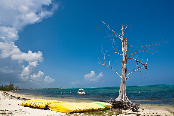 3876_DG_Cayman_Island_Caribbean_ZV4N0426