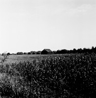 7528_B4P3_BW_SQ_KENTUCKY_01_4.jpg