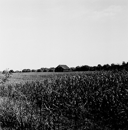 7528_B4P3_BW_SQ_KENTUCKY_01_4.jpg