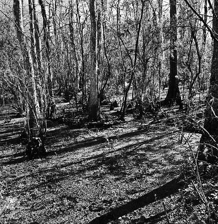 7747_FL_BW_LOUISIANA_01.jpg