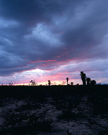 4000_20080719_ADS_Mexican_Landscape_Mexico_030