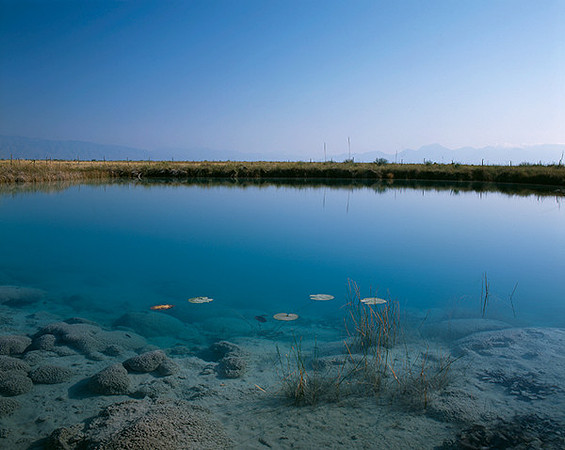 4000_20080719_ADS_Mexican_Landscape_Mexico_P064