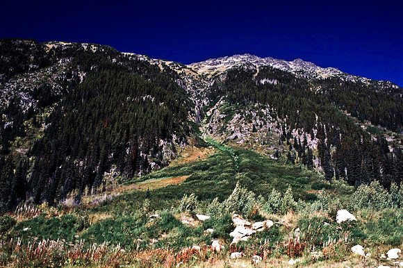 06811_B19_SL_COLOR_WHISTLER_WS_97_11.jpg