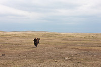 0044_North_Dacota_Fargo_to_South_Rapid_City_TO_CHEYENNE_5L8Y4162