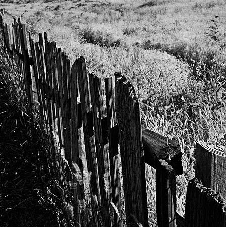 2379_FM_BW_SQ_MENDOCINO_CA_02_4.jpg