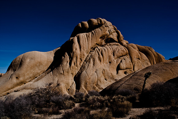 06646_DG_COLOR_JOSHUA_TREE_NAT_PARK_29_PALMS_CALIFORNIA_CA_USA_2007_ZV4N_463
