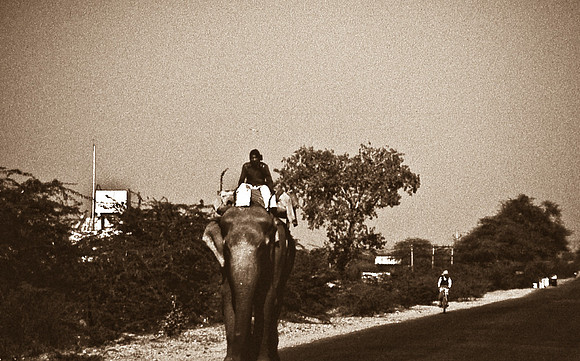 47284_SL_COLOR_INDIA_1987_7