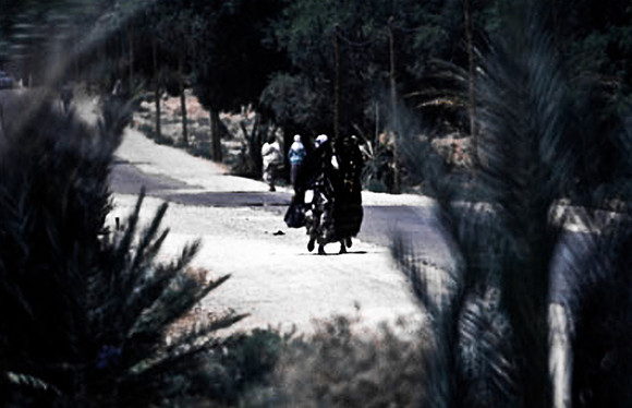 3199_SL_COLOR_RISSANI_MAROCCO_II_1998_5