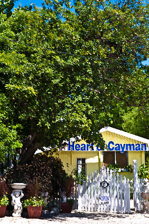 3876_DG_Cayman_Island_Caribbean_ZV4N0002