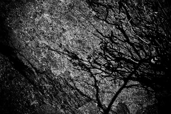 0031_La_Arizona_5L8Y5568