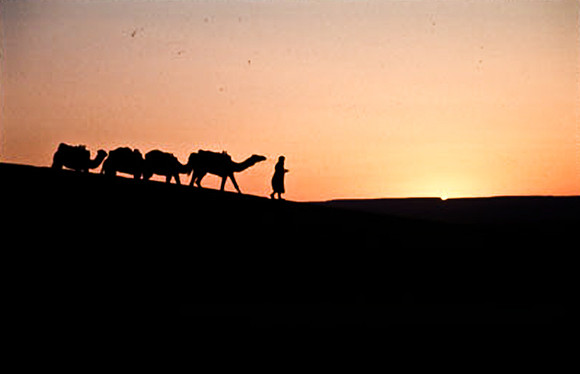 3206_SL_COLOR_MERZOUGA_SHAHARA_MAROCCO_II_1998_12