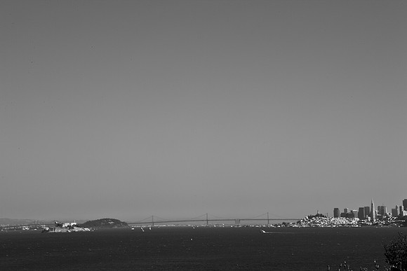 0026_DG_San_Francisco_Bay_CA_USA_2009_5L8Y1937