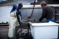06588_ZV4N_3661_DG_COLOR_BODEGA_BAY_CALIFORNIA_CA_2007_USA
