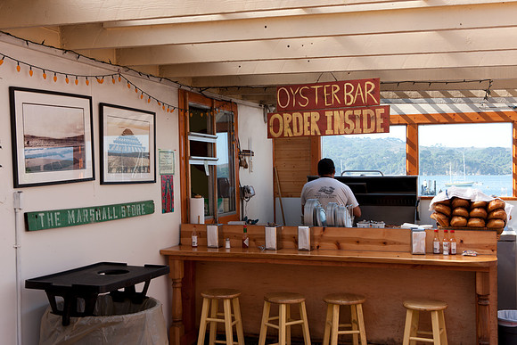 0026_DG_Marchall_Tomales_Bay_CA_USA_2009_5L8Y1708