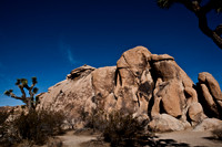06646_DG_COLOR_JOSHUA_TREE_NAT_PARK_29_PALMS_CALIFORNIA_CA_USA_2007_ZV4N_441