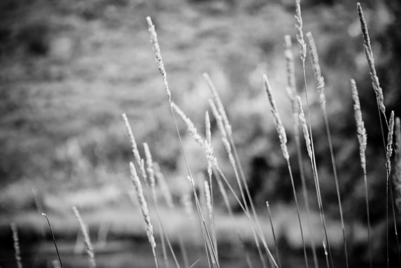 0019_Aspen_To_Jackson_Hole_Wyoming_5L8Y7118-2