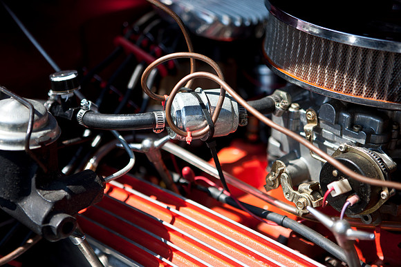 0026_DG_Mill_Valley_CA_USA_2009_5L8Y1886