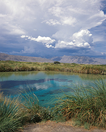 4000_20080719_ADS_Mexican_Landscape_Mexico_154