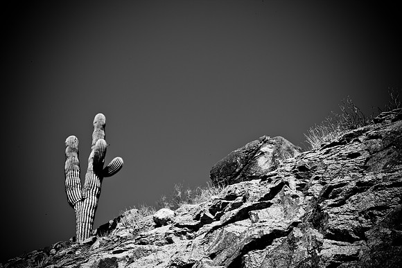 0031_La_Arizona_5L8Y5500
