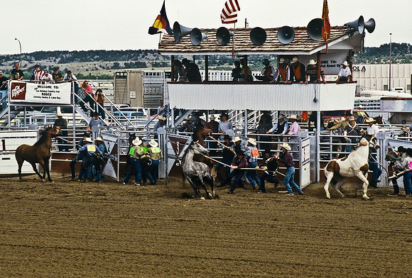 47485_B6_SL_COLOR_TRINIDAD_RODEO_CO_97_10.jpg