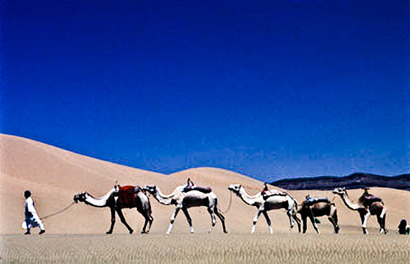 3194_SL_COLOR_TAMGROUTE_DUNES_MAROCCO_II_1998