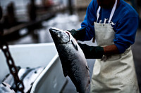 06588_ZV4N_3672_DG_COLOR_BODEGA_BAY_CALIFORNIA_CA_2007_USA