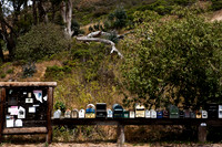 06583_ZV4N_3761_DG_COLOR_HWY_1_MILES_AFTER_NICKS_COVE_CALIFORNIA_CA_USA_2007_