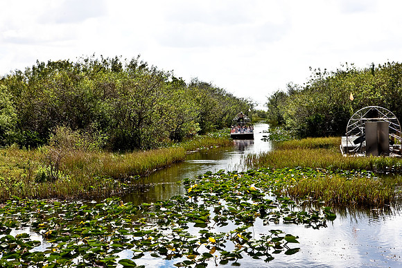 2528_EVERGLADES_MIAMI_FLORIDA_200903016_5L8Y2785