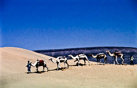 3194_SL_COLOR_TAMGROUTE_DUNES_MAROCCO_II_1998_1