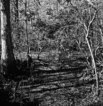 7747_FL_BW_LOUISIANA_01_7.jpg