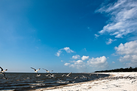 0036-NEW_ORLEANS_TO_PANAMA_CITY_BEACH_5L8Y1178