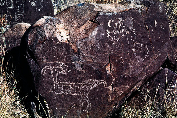 47899_B16_SL_COLOR_TREE_RIVER_PETROGLYTH_NAT_RES_NAT_MNT_HWY LOOP20_NM_97_1111.jpg