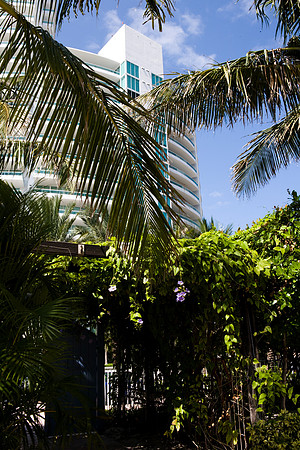 36146_DG_Color_USA_Miami_Beach_FL_Related_Group_South_of_FifthZV4N3889