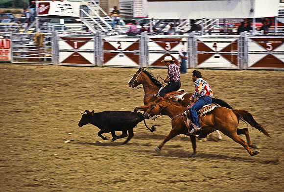 47490_B6_SL_COLOR_TRINIDAD_RODEO_CO_97_09.jpg