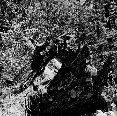 2257_FM_BW_SQ_BAR_HARBOR_MAINE_ACADIA_NAT_PARK_CA_2.jpg