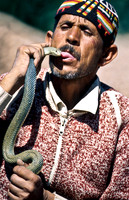 3239_SL_COLOR_TAROUDANNT_MAROCCO_II_1998_17