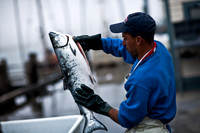 06588_ZV4N_3675_DG_COLOR_BODEGA_BAY_CALIFORNIA_CA_2007_USA