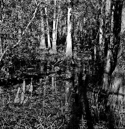 7747_FL_BW_LOUISIANA_01_5.jpg
