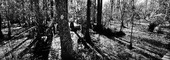7749_FL_BW_LOUISIANA_01_11.jpg