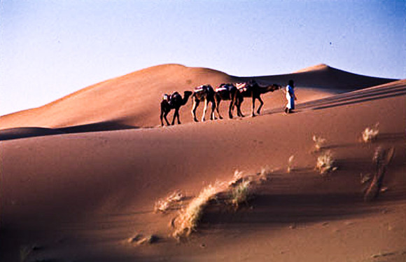 3209_SL_COLOR_MERZOUGA_SHAHARA_MAROCCO_II_1998