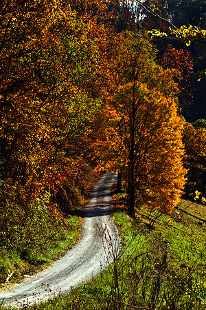 0258_FM_COLOR_MINESOTA_99_75.jpg