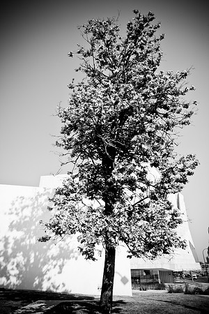0017_DG_Minneapolis_Minnesota_South_5L8Y3730