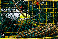 06581_ZV4N_0931_DG_COLOR_BASS_HARBOR_MAINE_ME_USA_2007_details_fishing