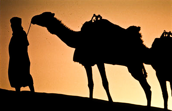 3204_SL_COLOR_MERZOUGA_SHAHARA_MAROCCO_II_1998_5