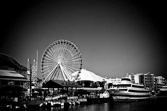 0015_DG_Chicago_USA_2009_5L8Y1329