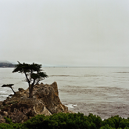 2366_FM_COLOR_CARMEL_CA_02_5.jpg