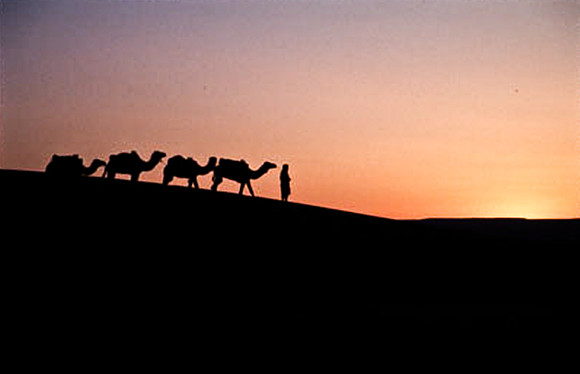 3206_SL_COLOR_MERZOUGA_SHAHARA_MAROCCO_II_1998_7