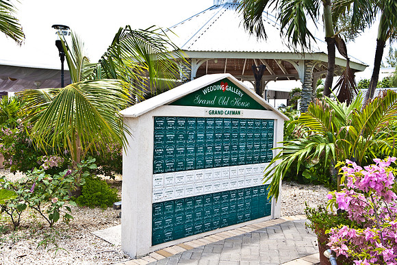 3876_DG_Cayman_Island_Caribbean_ZV4N0404