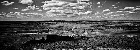6139_COLOR_SQ_PAINTED_DESERT_AZ_USA_05_7.jpg
